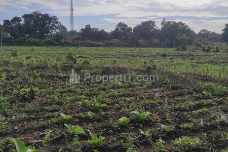 Jual Tanah di Panarukan Situbondo Jawa Timur