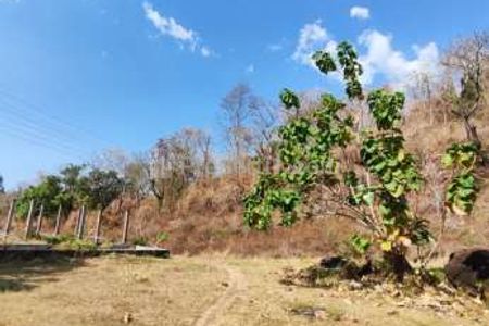 Jual Tanah Sangat Luas di Temukus, Kabupaten Buleleng, Bali