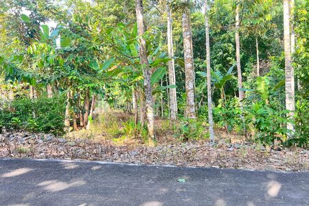 Jual Kebun Durian 300 Juta Utara Pasar Mojogedang Karanganyar