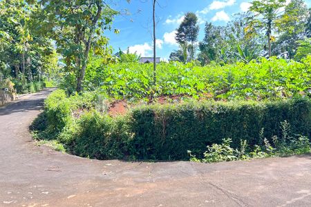 Jual Tanah Strategis 794 m2 di Utara Pasar Mojogedang Karanganyar Solo Jawa Tengah