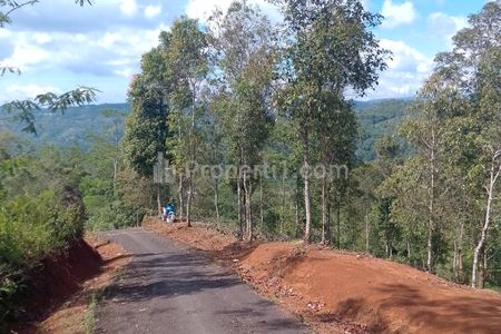 Dijual Tanah Kebun Produktif Pinggir Jalan di Sodonghilir Kabupaten Tasikmalaya