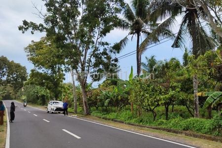 Dijual Tanah Kebun di Jalan Antosari Pupuan, Tabanan, Bali