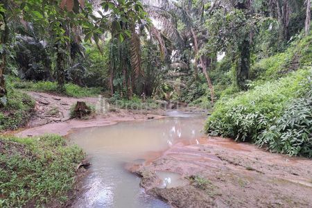DIJUAL KEBUN KELAPA SAWIT 92.304 m² DI TALUN KENAS DELI SERDANG SUMUT