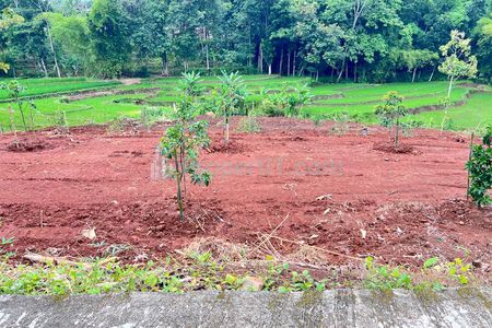 Jual Kebun Buah 2627m² View Hamparan Sawah di Kerjo, Karanganyar