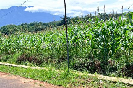 Dijual Tanah View Gunung Lawu Luas 8000m2 di Kerjo Karanganyar Utara