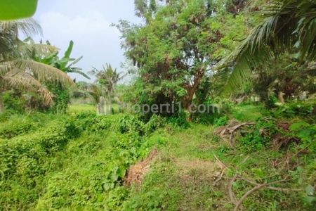 Dijual 6 Tanah Kavling di Jalan Pantai Saba, Kabupaten Gianyar