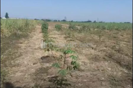 Dijual Tanah Sawah di Dusun Winong Barat, Kabupaten Jombang