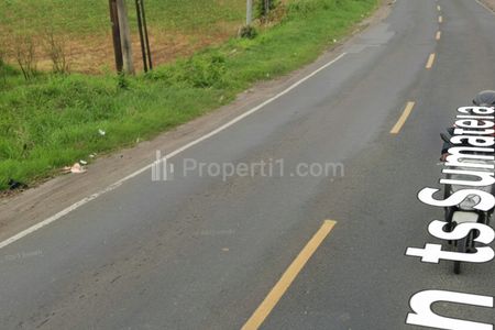 Dijual Cepat Tanah Produktif Pinggir Jalan Lintas Sumatera, Bumiagung, Tegineneng, Pesawaran, Lampung