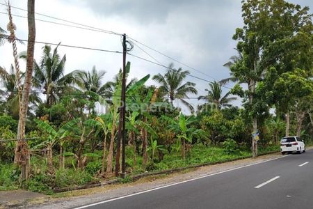 Dijual Tanah Kebun di Jalan Antosari Pupuan, Kabupaten Tabanan