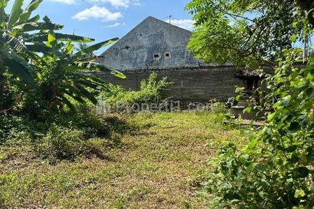 Dijual Tanah Strategis di Jalan Singaraja-Seririt, Kabupaten Buleleng
