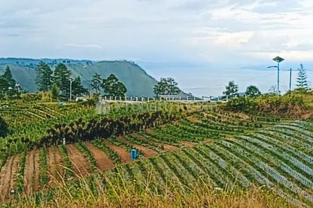 Dijual Tanah 2,2 Hektar View Danau Toba Dekat Simalem Resort Karo