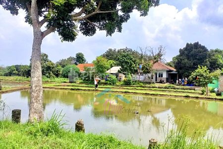 Dijual Murah Tanah Empang Pinggir Jalan Kp. Babakan Sabrang Ciseeng Bogor