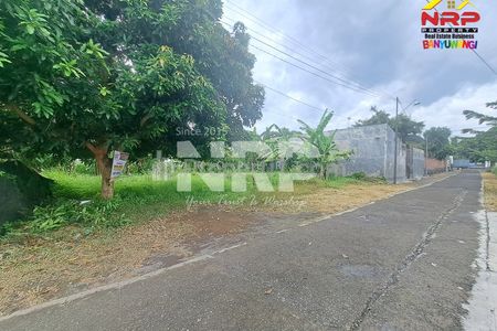 DIJUAL TANAH STRATEGIS KEBALENAN - BANYUWANGI