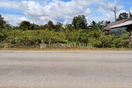 Jual Tanah di Teluk Bakung Jalan Trans Kalimantan Kubu Raya, Kalimantan Barat