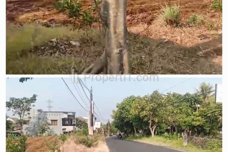 Dijual Tanah Tidar Malang 45 Milyar