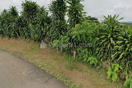 Jual Tanah Murah di Jasinga Bogor, Luas 2000 m2, SHM, Lokasi Strategis Pinggir Jalan Desa
