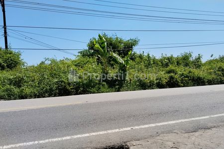 Dijual Tanah di Pinggir Jalan Sampai Pinggir Sungai Kapuas, di Wajok Hilir Jungkat, Mempawah, Kalimantan Barat