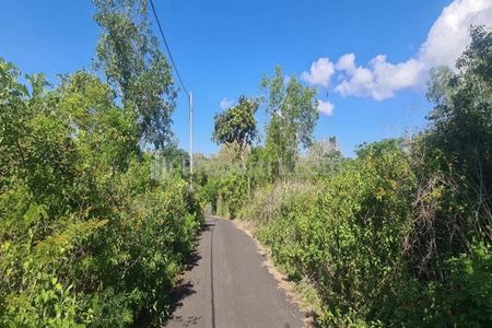 Jual Tanah Kosong SHM di Jalan Gayangsari Badung Bali