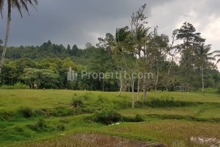Dijual Cepat Lahan Komersial Strategis di Bukit Sundi, Kinari, Solok Selatan, Sumatera Barat