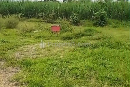 Dijual Tanah Lahan Zona Kuning Pakis Malang 556 Ribu