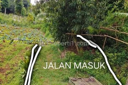 Jual Tanah di Lembang Bandung Barat, Bisa untuk Villa, Perkebunan