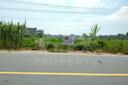 Dijual Tanah SHM Cocok Bangun SPBU Gudang Ruko Kantor di Jalan Raya Sungai Bakau Besar, Pontianak