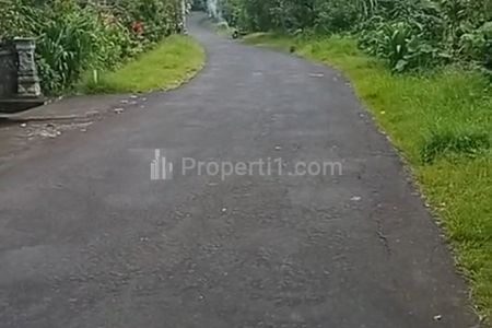 Jual Tanah Kebun Kopi 2 Hektar di Desa Bongancina Buleleng Bali