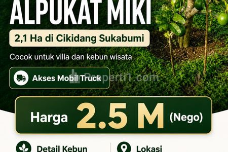 Dijual Kebun Alpukat 2 Hektar di Cikidang Sukabumi