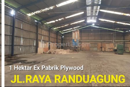 Dijual Ex Pabrik Plywood Luas 1 Hektar di Jalan Raya Randuagung - Lumajang, Jawa Timur - Ada Ruang Kantor - Akses Truk Besar