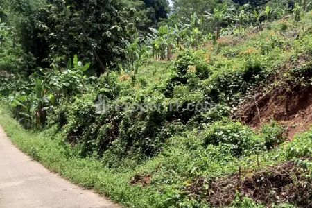 Tanah DIJUAL Murah di Bogor, Cibadak, Tanjungsari - SEBRANG VILLA BUPATI - Luas 4725 m2 (michael.kusuma)