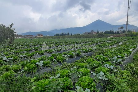 Jual Tanah 8500 m2 SHM untuk Residensial Komersial Agro Wisata Agro Bisnis Lokasi Super Strategis di Kawasan Lembang Bandung Barat