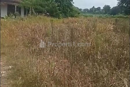 Dijual Tanah di Seputih Jaya Lampung Tengah