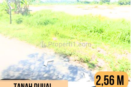 Dijual Tanah 11.360m2 di Warureja, Tegal, Jawa Tengah