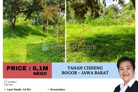 Dijual Tanah di Ciseeng - Bogor