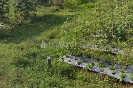 Dijual Tanah Joyogrand Malang, Luas Tanah 240m2