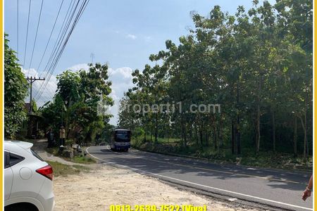 Dijual Tanah Strategis Tepi Jalan Raya Wonosari - Bukit Bintang - Bantul, Cocok untuk Usaha Cafe & Villa - SHM Pekarangan