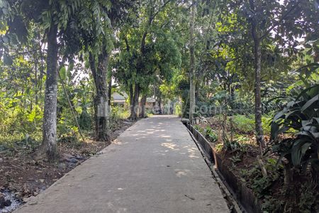 Dijual Kavling Siap Bangun Cocok Buat Cluster di Parung, Bogor