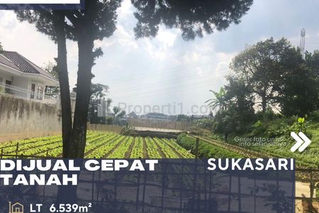 Dijual Tanah Kavling Luas Dekat Area Lembang dan UPI Jalan Setiabudi di Sersan Bajuri Sukasari Bandung