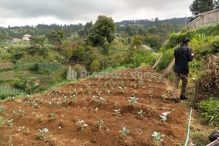 Dijual Cepat Tanah Darat 3486m² Cikahuripan Lembang Bandung Barat 