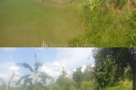 Jual Super Murah Tanah Strategis di Legok Tangerang