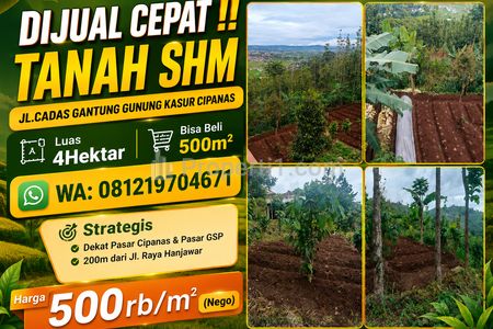 Dijual Murah Tanah SHM di Kawasan Wisata Cipanas Cianjur, Tanah Strategis Luas 4 Hektar Cocok untuk Villa, Glamping, Perkebunan, Juga untuk Investasi