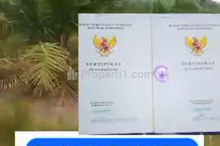 Dijual Kebun Sawit Luas 3 1/4 Hektar di Pasar Batang Gedung Aji Lama, Tulang Bawang, Lampung