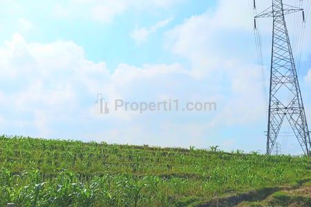 Disewakan Tanah Selemadeg Timur Dekat Pantai Kelecung Tabanan Bali
