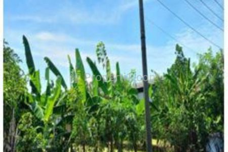 Dijual Tanah Kavling 1700 m2 Pergudangan Cangkir Driyorejo Gresik - Jawa Timur - Akses Truk Trailer - SHM - Dekat Akses Tol Driyorejo, Citraland SBY