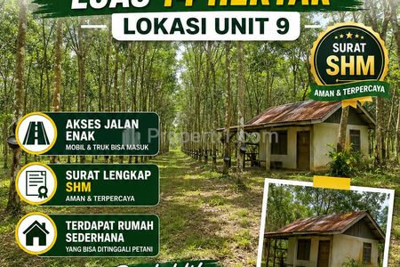 Dijual Kebun Karet Luas 14 Hektar di Banjar Baru, Tulang Bawang, Lampung