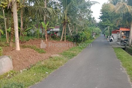 Disewakan Tanah 43 Are di Mengwi Badung Bali