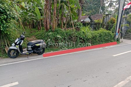Disewakan Tanah Zona Industri di Mengwi Badung Bali