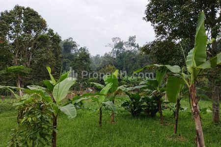 Dijual Tanah Kebun di Baturiti Tabanan Bali