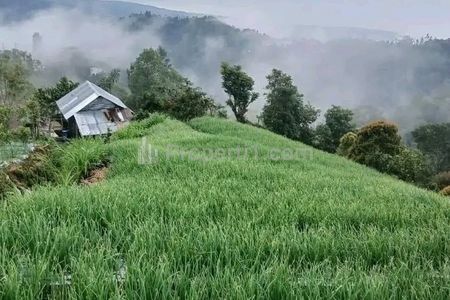 Dijual Tanah View Bukit dan Laut di Kintamani Bangli Bali