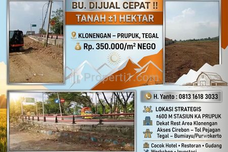 Dijual Murah Tanah 1 Hektar di Klonengan, Prupuk, Tegal - Lokasi Strategis Pinggir Jalan Raya - Nego Butuh Uang Mendesak